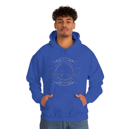 Graphic Unisex Pullover Heavy Blend Hooded Sweatshirt